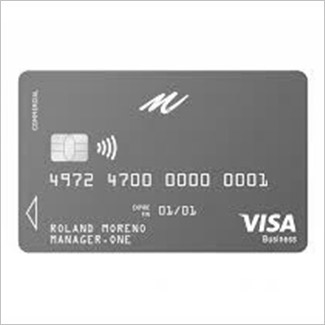 carte bleu visa