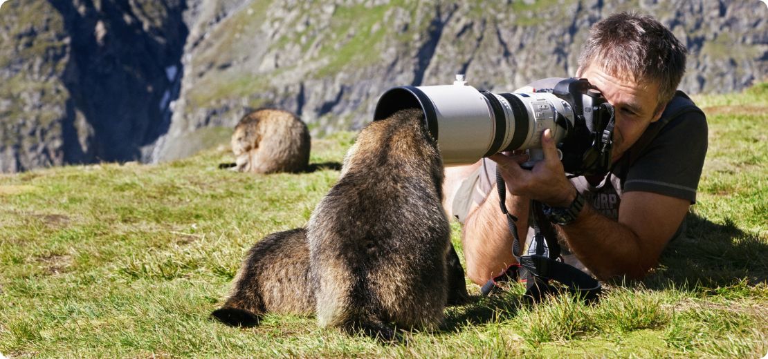 Photographe en train de prendre une photo avec une marmotte qui pose sa tête dans l'objectif